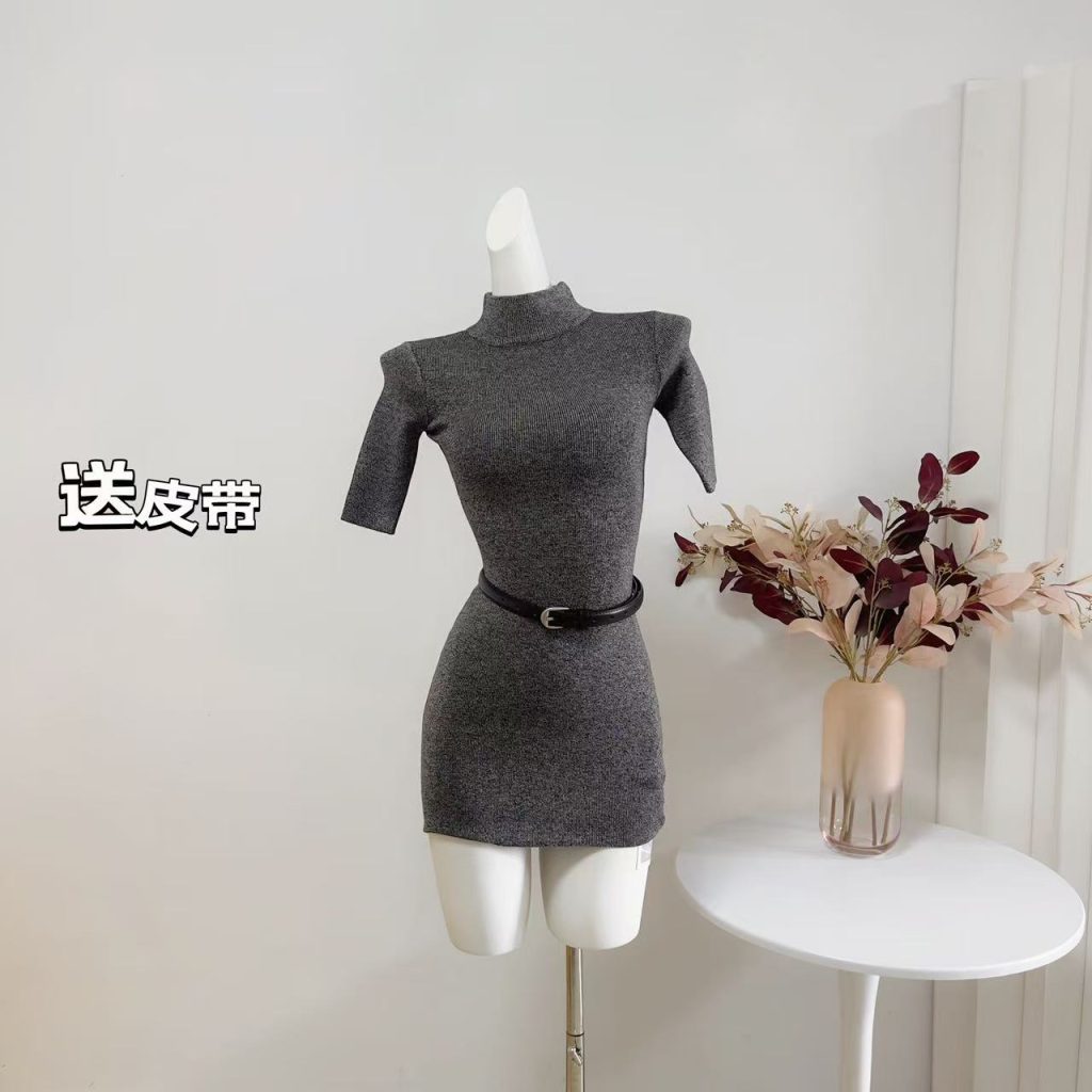 Fart Shop Women's Bodycon Knit Dress with Half High Neck and Short Sleeves